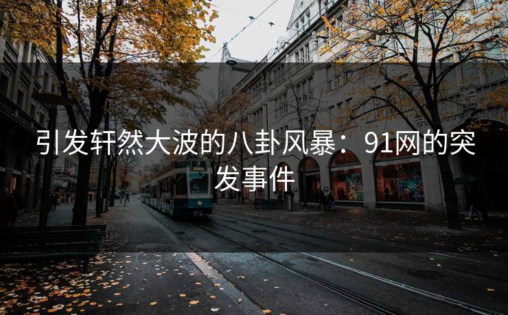 引发轩然大波的八卦风暴：91网的突发事件