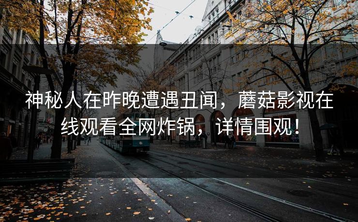 神秘人在昨晚遭遇丑闻，蘑菇影视在线观看全网炸锅，详情围观！