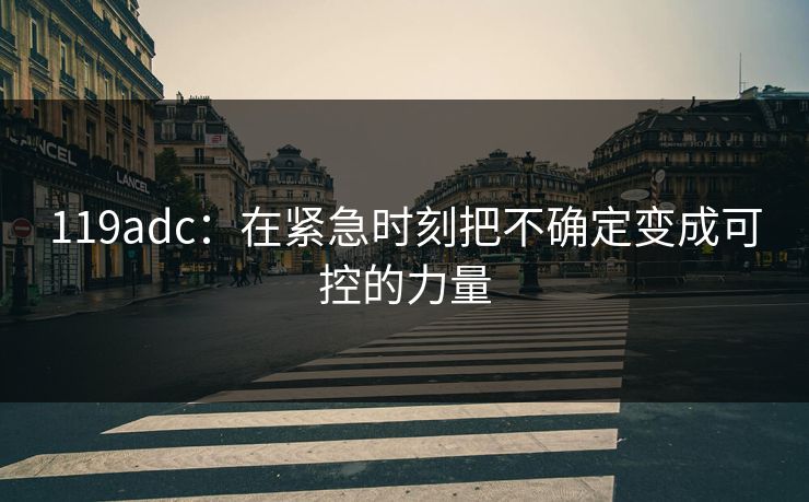 119adc：在紧急时刻把不确定变成可控的力量