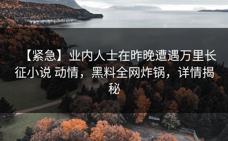 【紧急】业内人士在昨晚遭遇万里长征小说 动情，黑料全网炸锅，详情揭秘